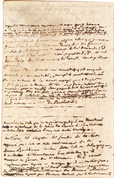 This image is a page from Aimé-Adrien Taunay’s notebook. The page, in vertical direction, presents the author's illegible handwritten inscriptions in iron gall ink.