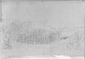 Sketch of a path flanked by fence, plants and an animal-drawn vehicle being guided by a person standing next to it; at the bottom of the apparent high ground.  Page of Aimé-Adrien Taunay's manuscript.
Collection of Museu Paulista / Universidade de São Paulo (São Paulo).