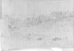 Picturesque views of the bay through the living fences, the trees beyond a species of crowned pastures, as you advance, through the tips of [organs]. House in front of which extends a line of banana trees beyond a large savannah, and on the coast a long line of virgin forest p. 5.  Page of Aimé-Adrien Taunay's manuscript.
Collection of Museu Paulista / Universidade de São Paulo (São Paulo)