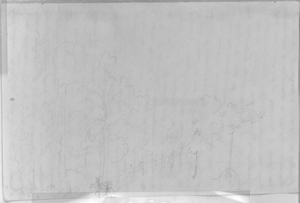 Esquisse de profil du relief et composition floristique avec un personnage chevauchant une mule. Page du manuscrit d'Aimé-Adrien Taunay. Archives Musée Paulista de l'USP (São Paulo)